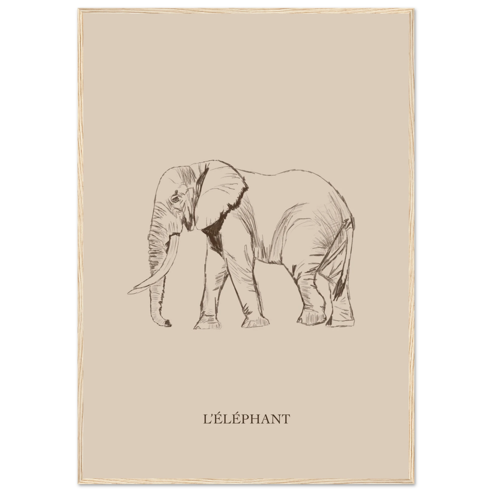 18b0efba-90dd-4625-a781-9b5222e581c5