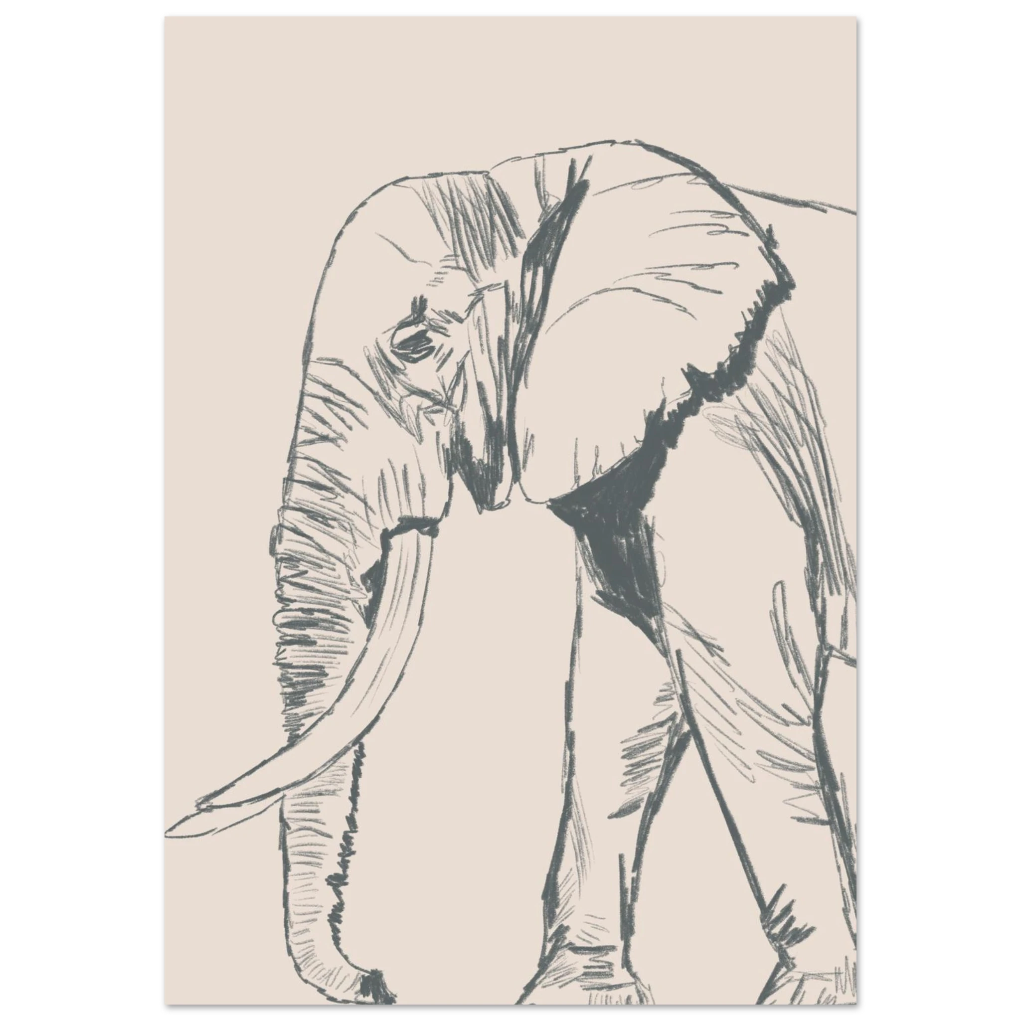 3bb8b58a-f781-4f9f-bc97-48691d4dc2d2