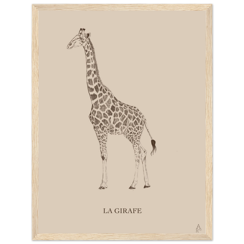 58b8279c-24d6-46c9-ae20-8d80b4c87e6e