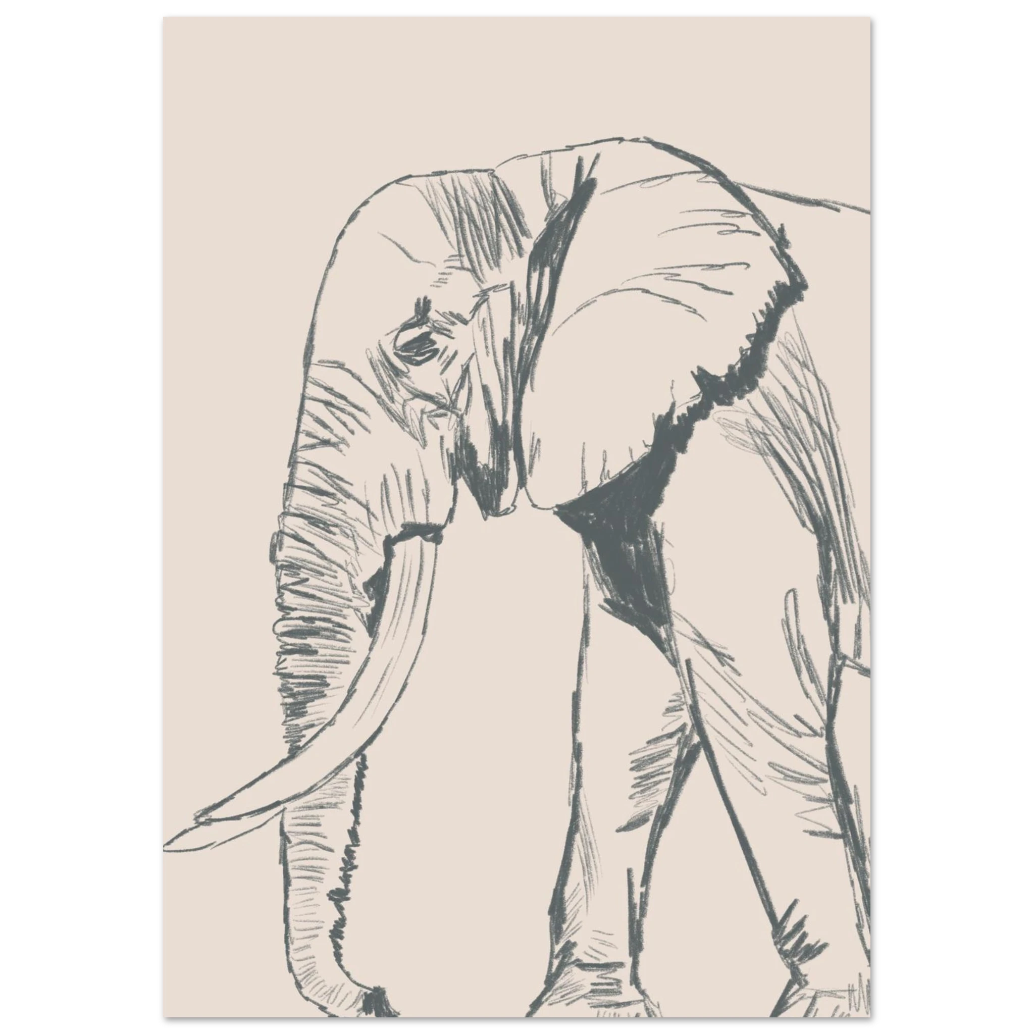 60ff396d-ebf8-4fb6-9dfa-f0acaa30f5ae