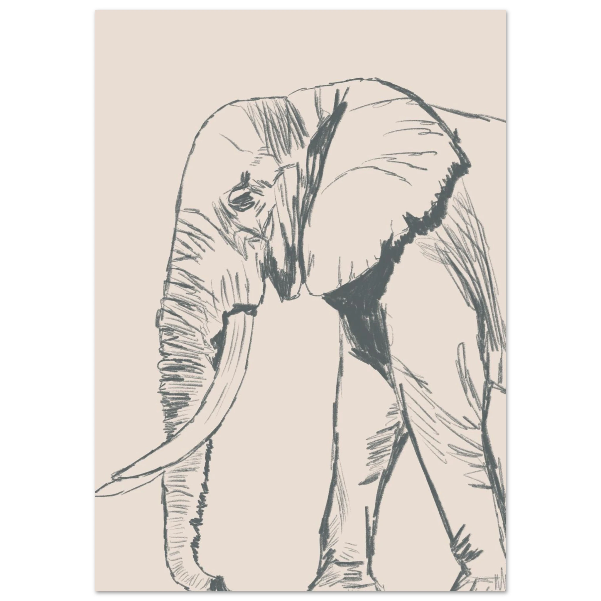 6dee026d-cf04-423e-aca9-1ef2b6e19337