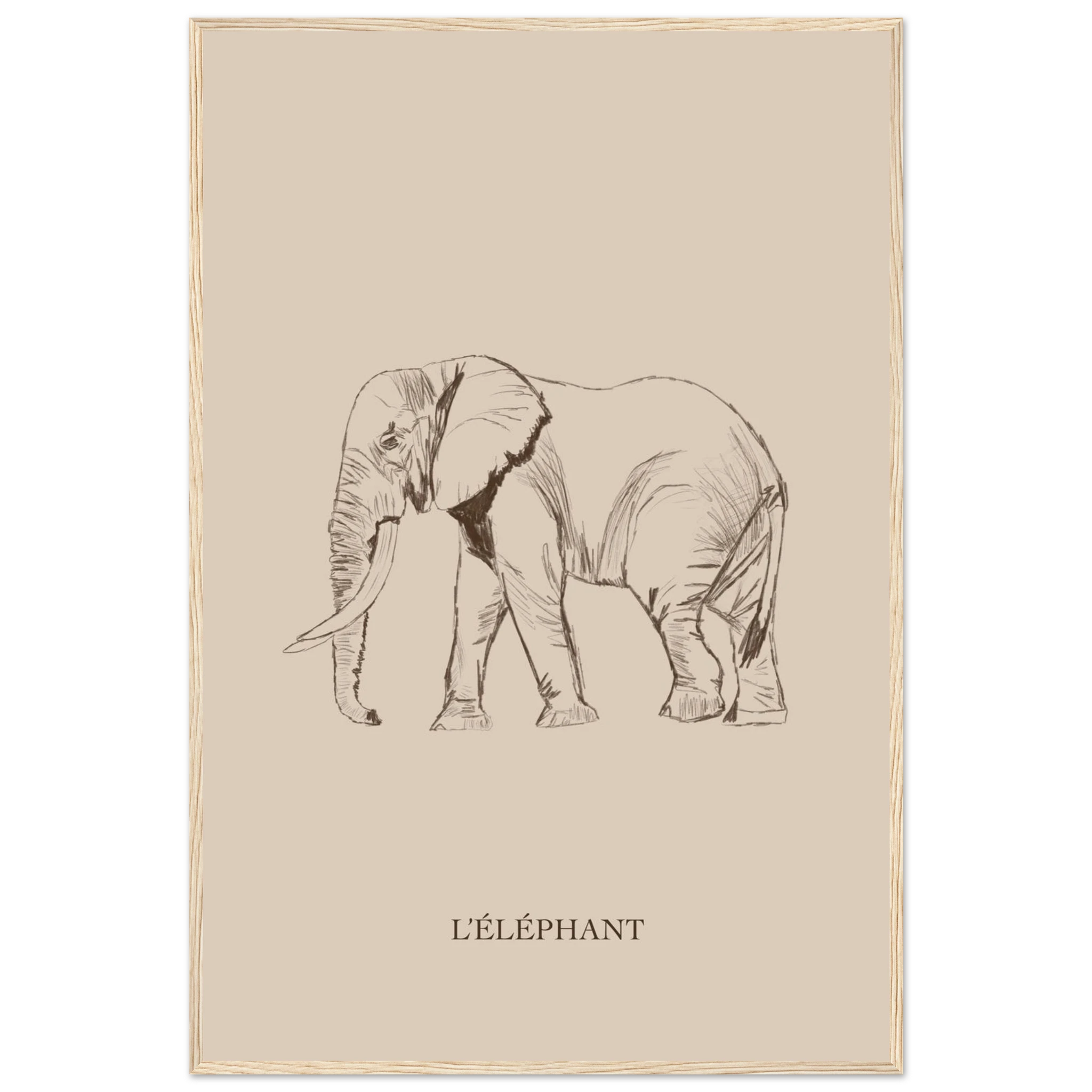 950599ce-e006-42aa-b064-663f5125742a