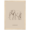Elephant dessine au crayon avec style minimaliste et apaisant.