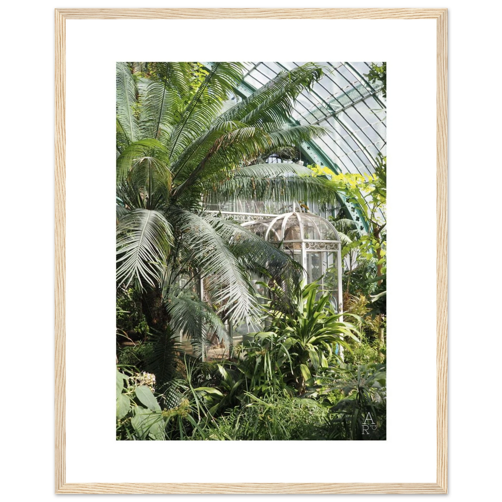 Photo serre parisienne N°2 - affiche encadrée
Photo prise par Aude de Riberolles à Paris
Caractéristique de la photo encadrée:
Nos affiches encadrées en bois, robustes et prêtes à accrocher, sont réalisées sur un papier semi-brillant premium qui rehausse les couleurs avec une légère brillance tout en les protégeant de la décoloration due à la lumière et à l’humidité.