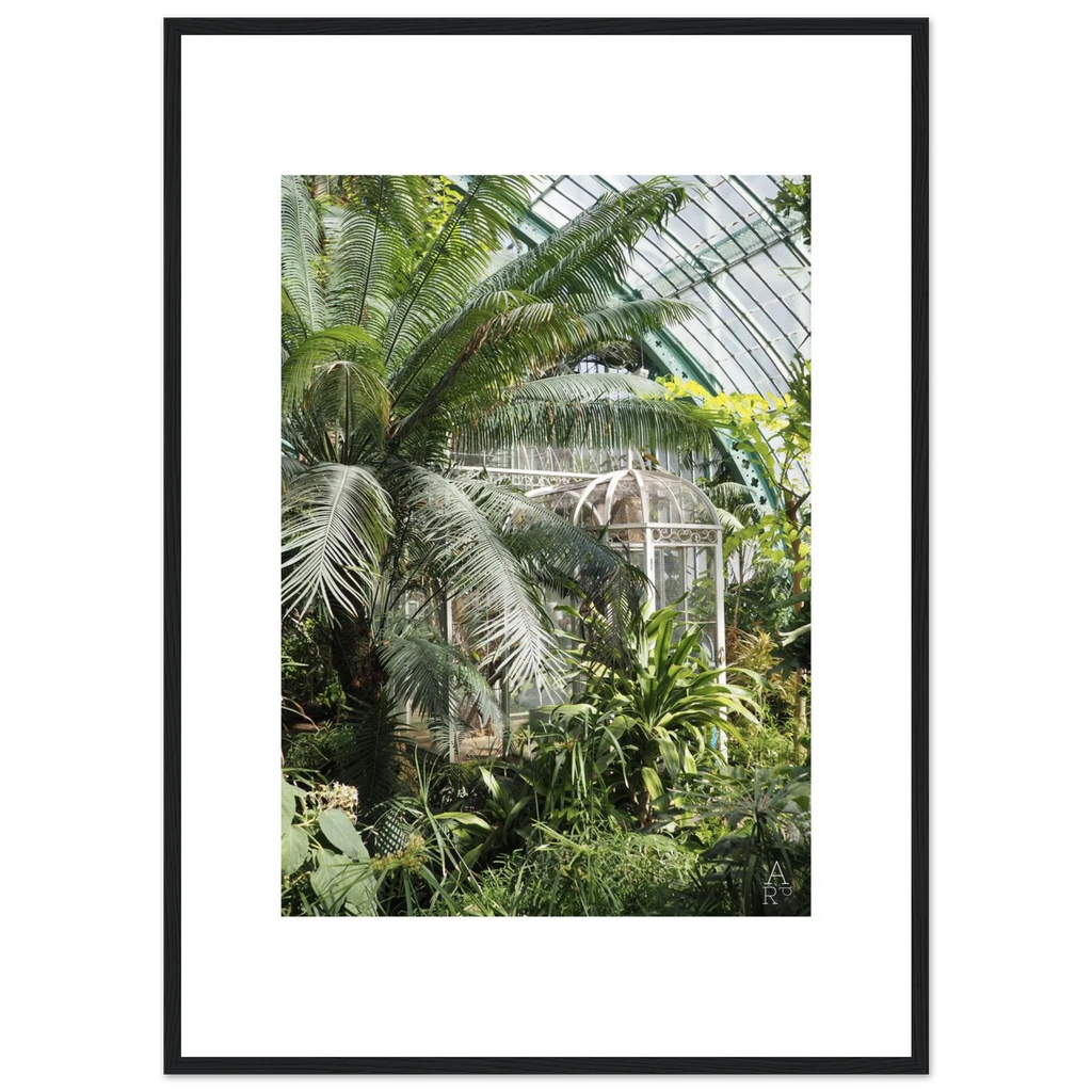 Photo serre parisienne N°2 - affiche encadrée
Photo prise par Aude de Riberolles à Paris
Caractéristique de la photo encadrée:
Nos affiches encadrées en bois, robustes et prêtes à accrocher, sont réalisées sur un papier semi-brillant premium qui rehausse les couleurs avec une légère brillance tout en les protégeant de la décoloration due à la lumière et à l’humidité.