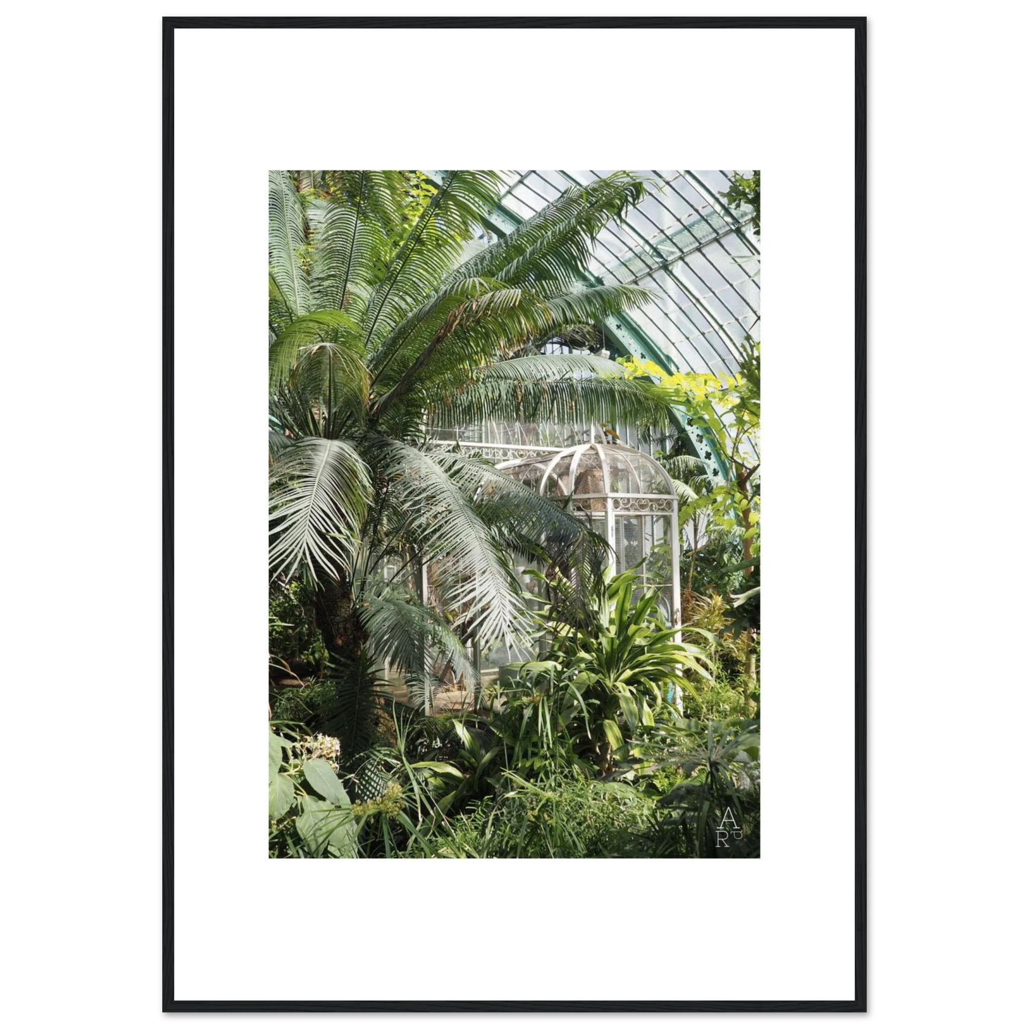 Photo serre parisienne N°2 - affiche encadrée
Photo prise par Aude de Riberolles à Paris
Caractéristique de la photo encadrée:
Nos affiches encadrées en bois, robustes et prêtes à accrocher, sont réalisées sur un papier semi-brillant premium qui rehausse les couleurs avec une légère brillance tout en les protégeant de la décoloration due à la lumière et à l’humidité.