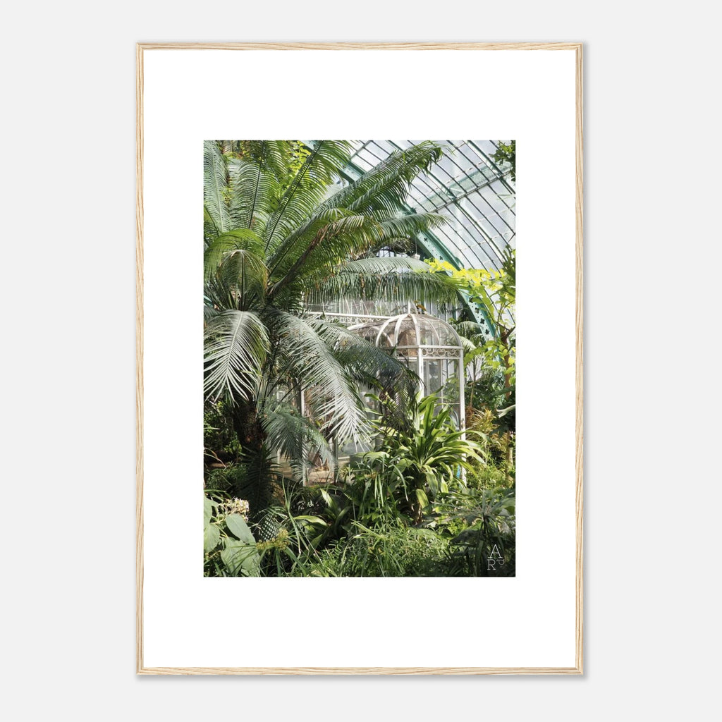 Photo serre parisienne N°2 - affiche encadrée cadre bois