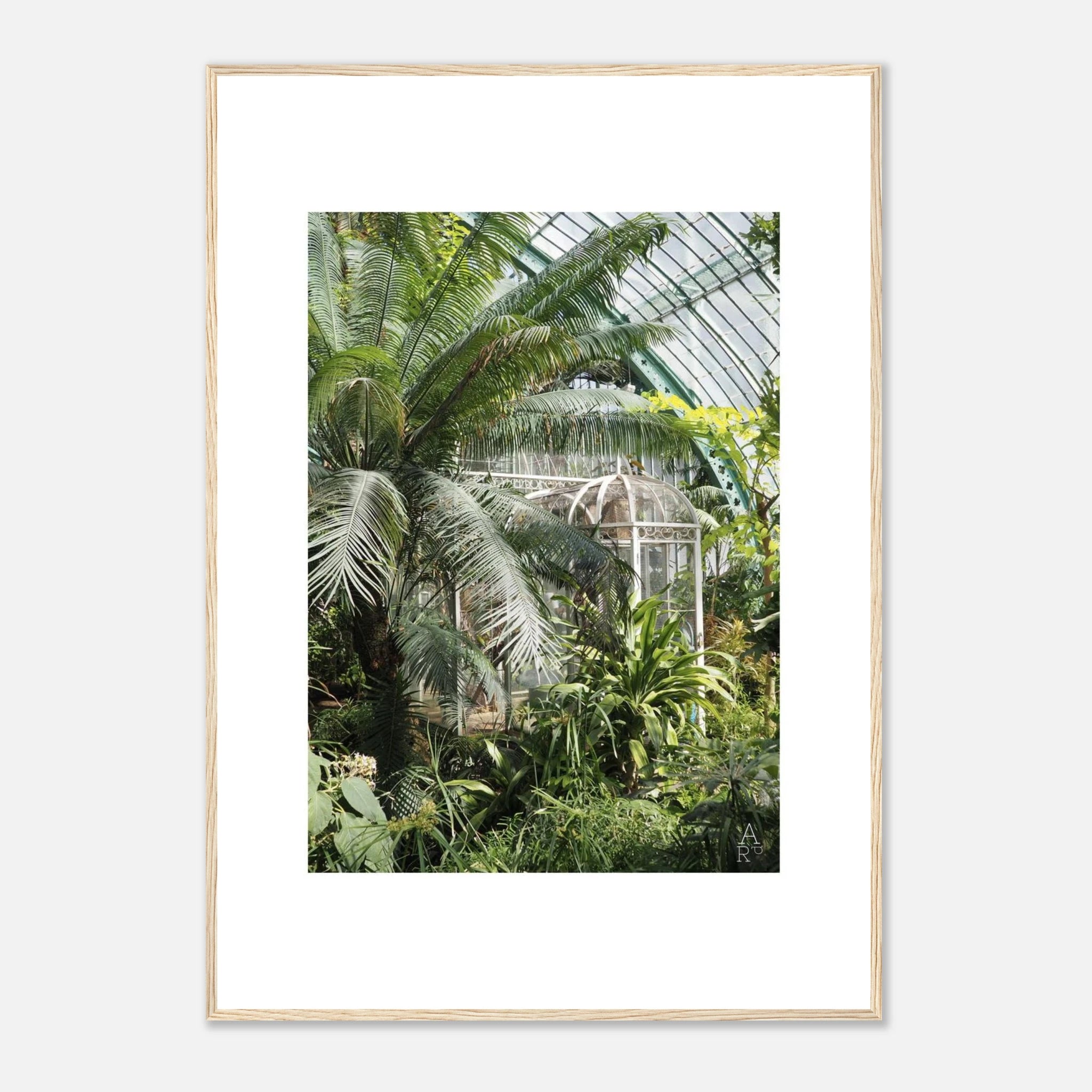Photo serre parisienne N°2 - affiche encadrée cadre bois