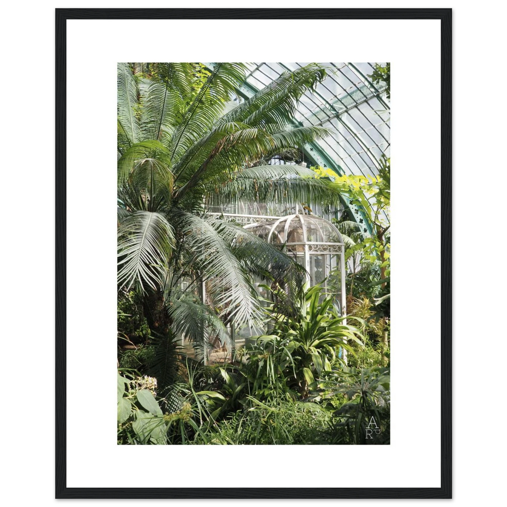Photo serre parisienne N°2 - affiche encadrée
Photo prise par Aude de Riberolles à Paris
Caractéristique de la photo encadrée:
Nos affiches encadrées en bois, robustes et prêtes à accrocher, sont réalisées sur un papier semi-brillant premium qui rehausse les couleurs avec une légère brillance tout en les protégeant de la décoloration due à la lumière et à l’humidité.