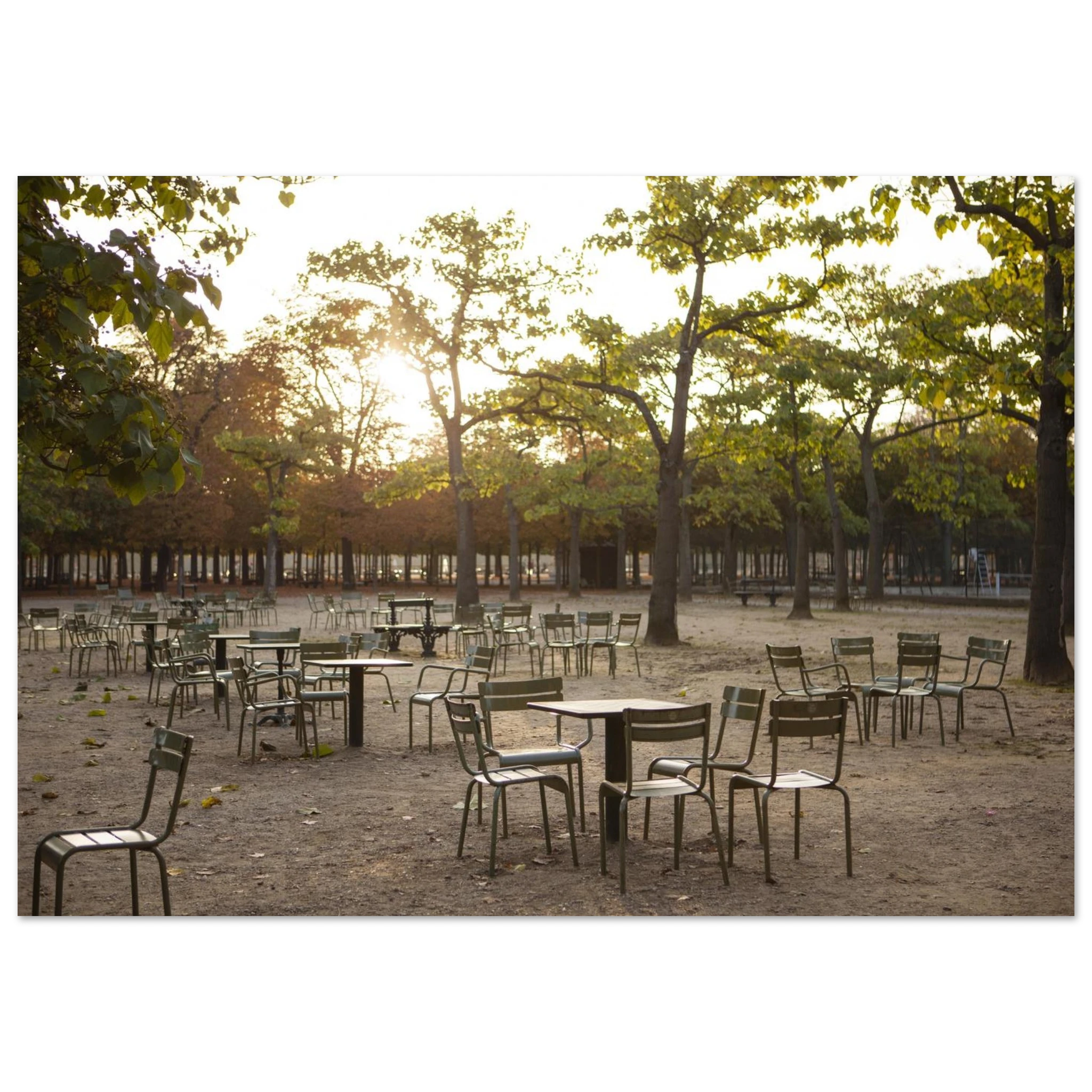 Ce poster du Jardin du Luxembourg capture l’essence d’un moment calme en extérieur. Cette affiche artistique joue avec les ombres et la lumière pour créer un tableau mural élégant et intemporel.

Parfait pour une décoration murale moderne, ce poster nature apporte profondeur et sérénité à votre intérieur.

• Poster artistique extérieur
• Tableau nature lumineux
• Idéal salon / bureau