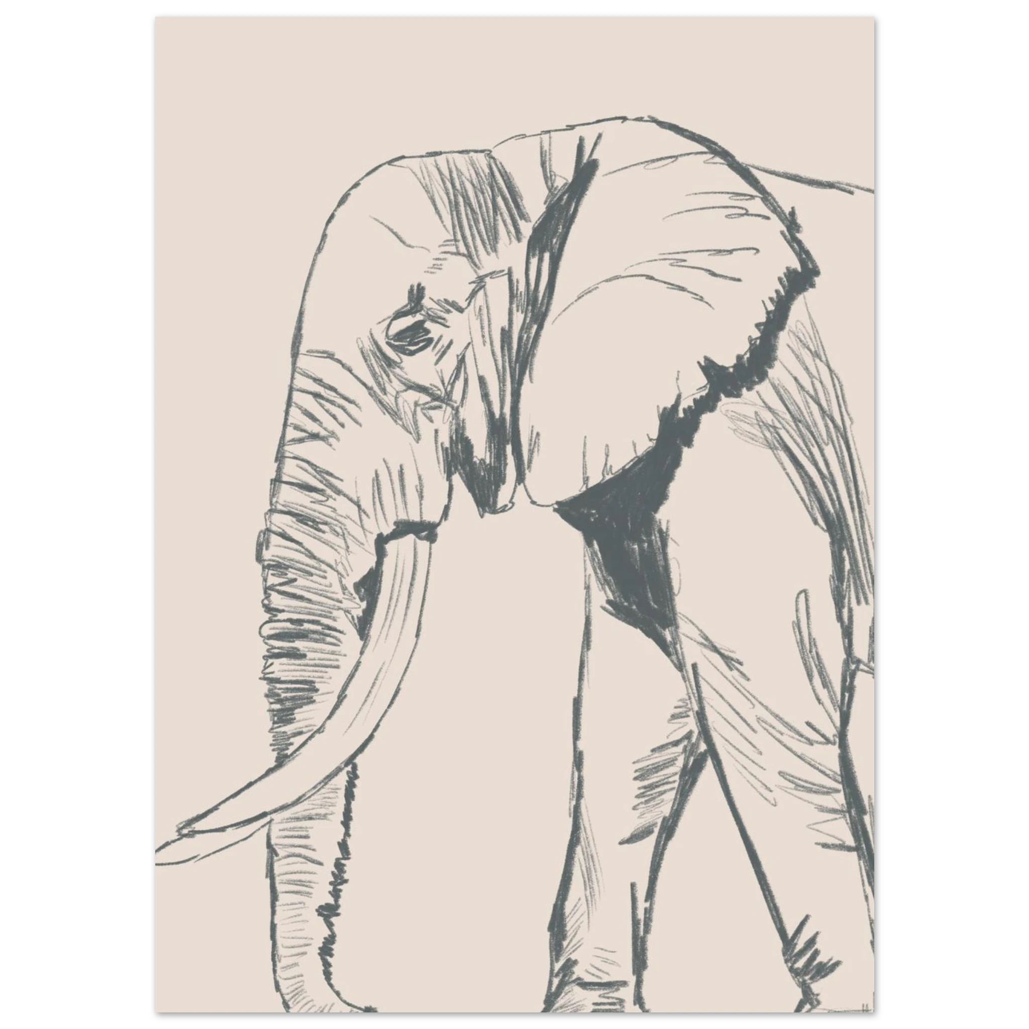 a849714a-aad8-41a9-b7c9-e037cc481036