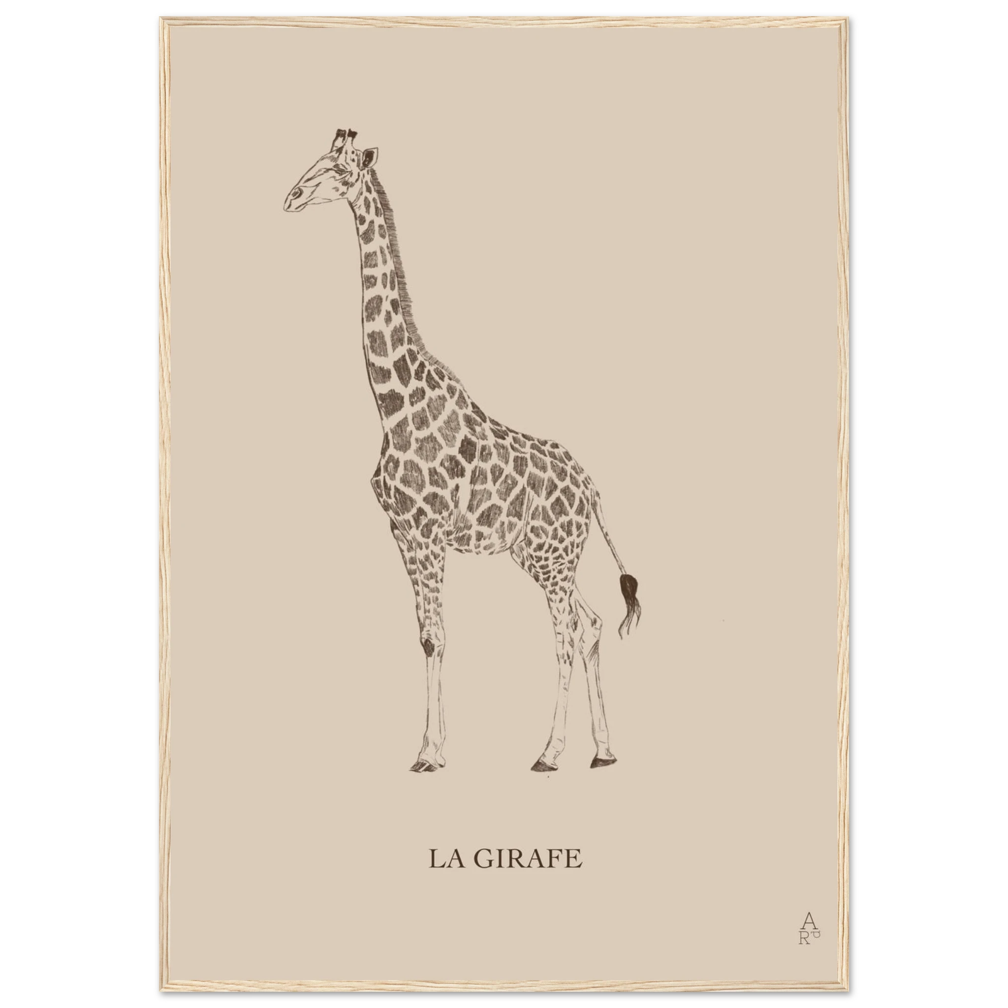 c294edc2-4777-45d5-8c57-68773820e245