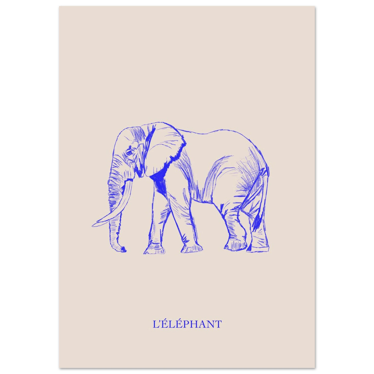 L'éléphant, version bleu électrique, affiche illustrée au crayon par Aude de Riberolles – visuel 6