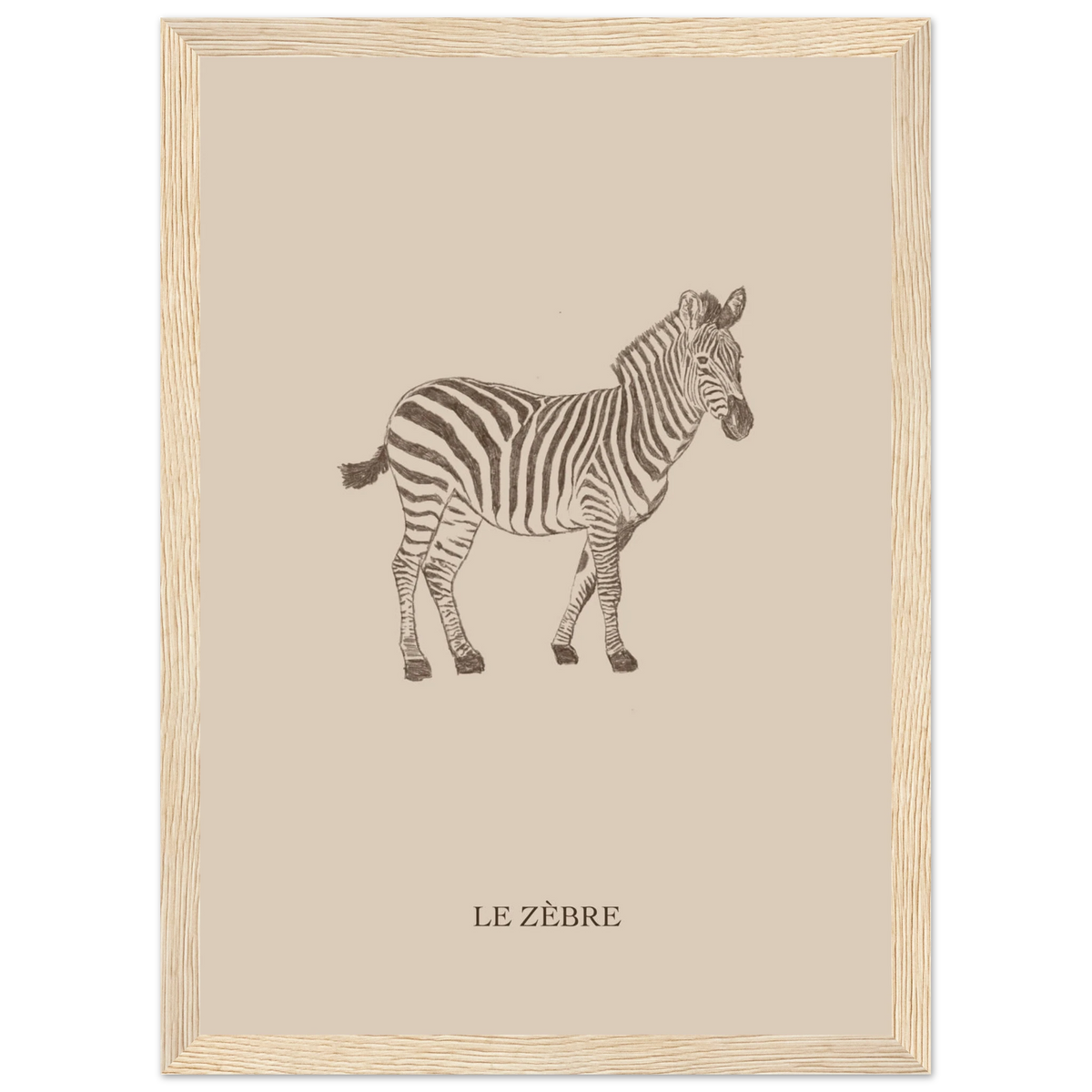 Le zèbre version marron, affiche encadrée – visuel 2, Aude de Riberolles