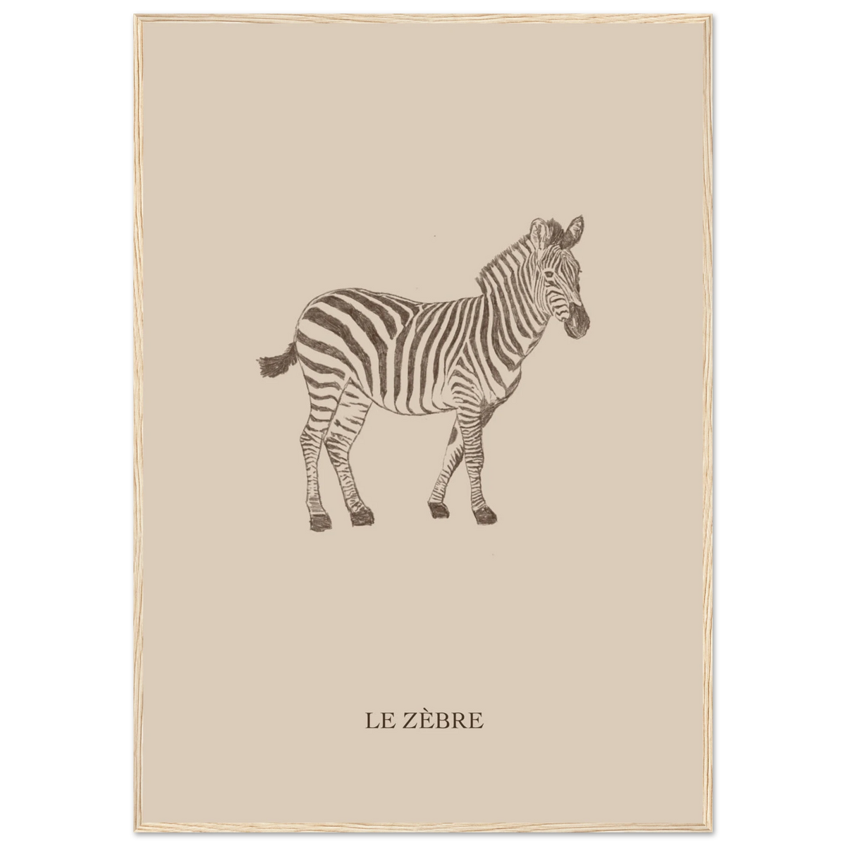Le zèbre version marron, affiche encadrée – visuel 5, Aude de Riberolles