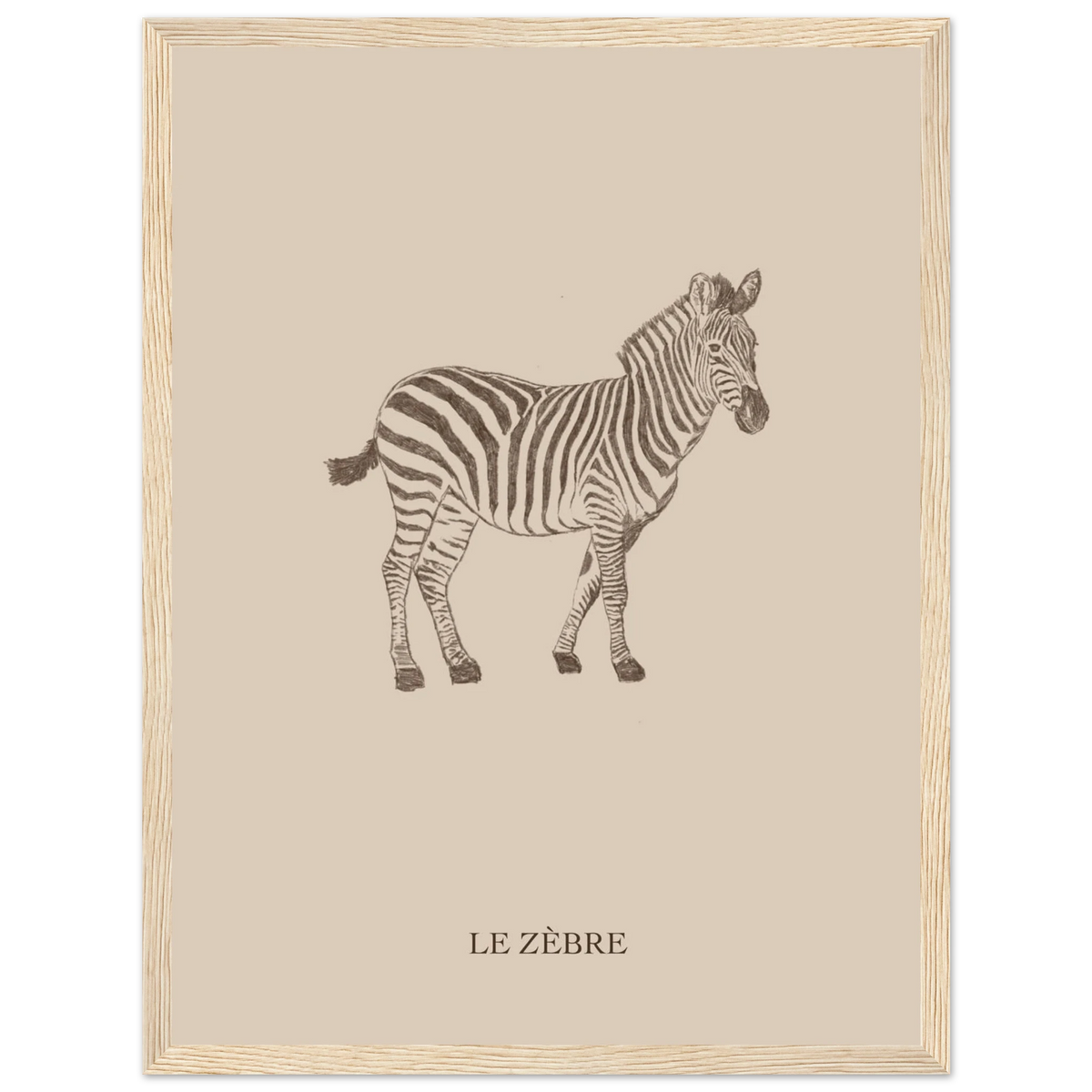 Le zèbre version marron, affiche encadrée – visuel 6, Aude de Riberolles