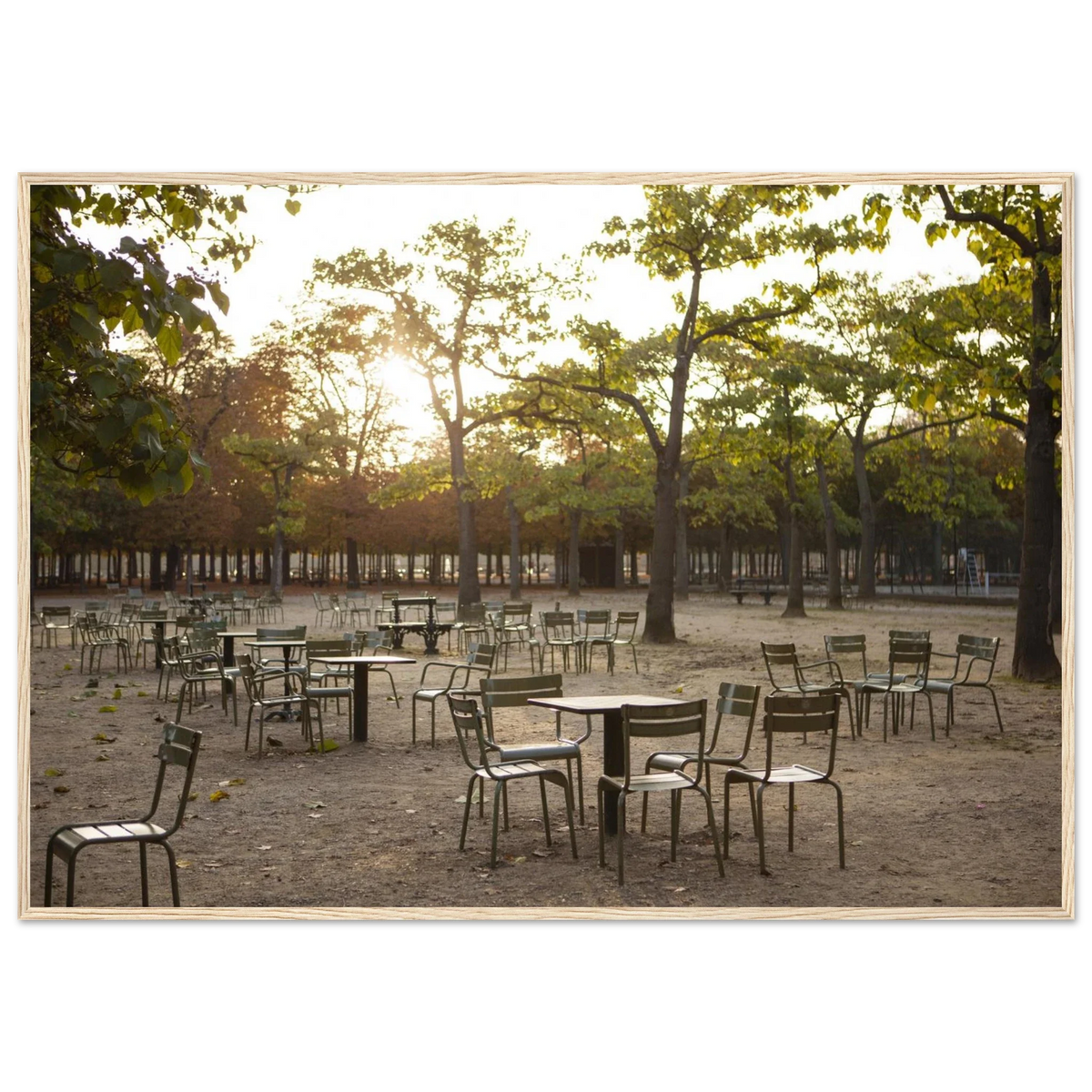 Paris, Jardin du Luxembourg, photographie d'art de Mohamed Khalil encadrée – visuel 2