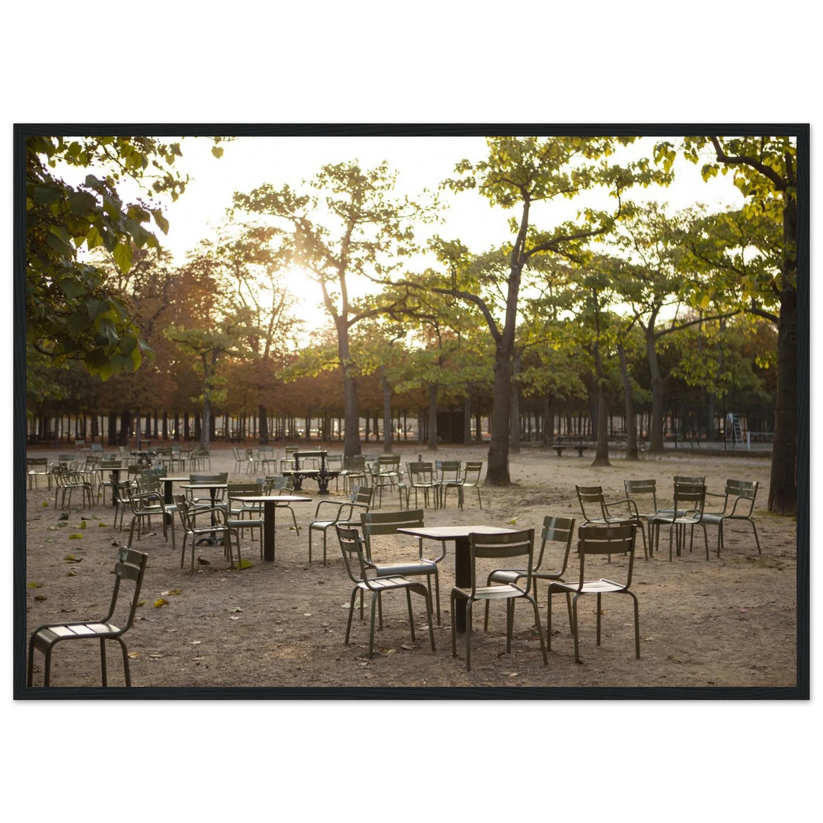 Paris, Jardin du Luxembourg, photographie d'art de Mohamed Khalil encadrée – visuel 6
