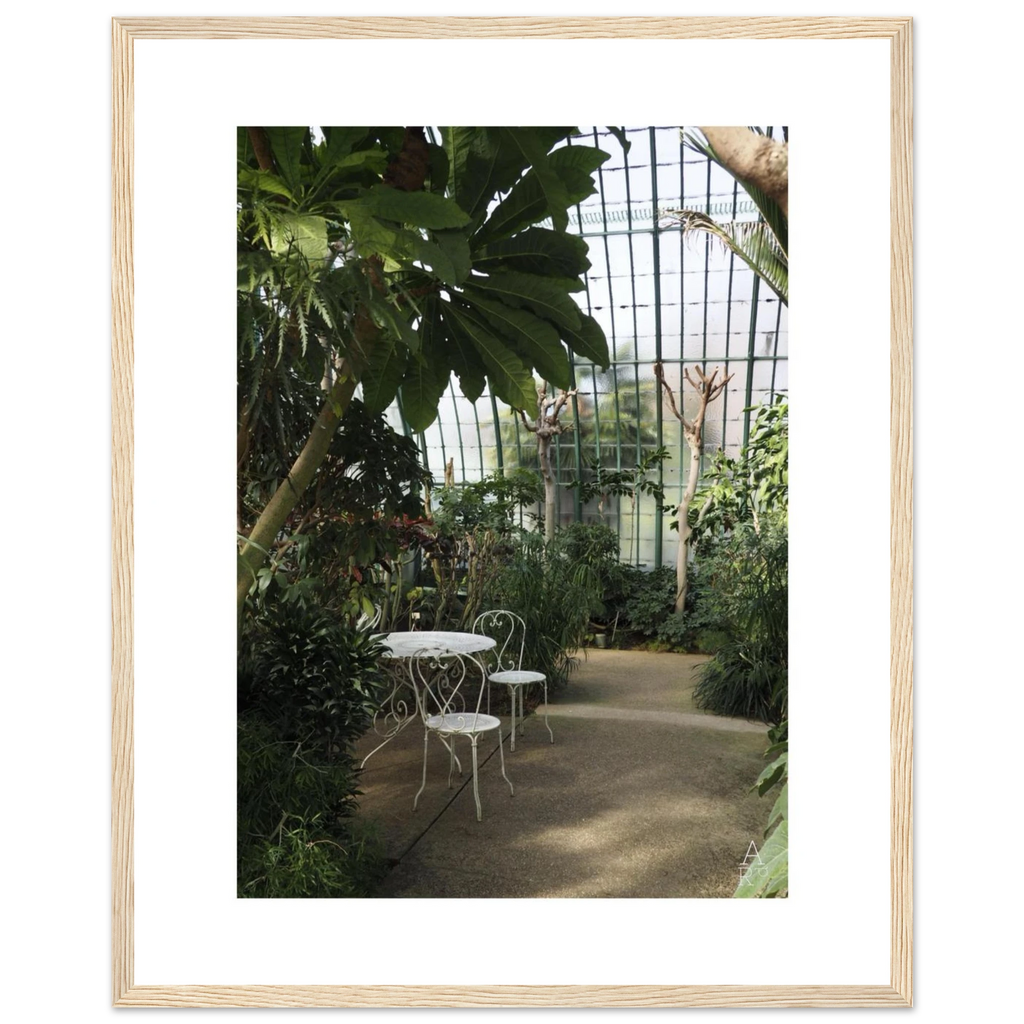 Serre parisienne N°1, photographie végétale encadrée – visuel 10, Aude de Riberolles