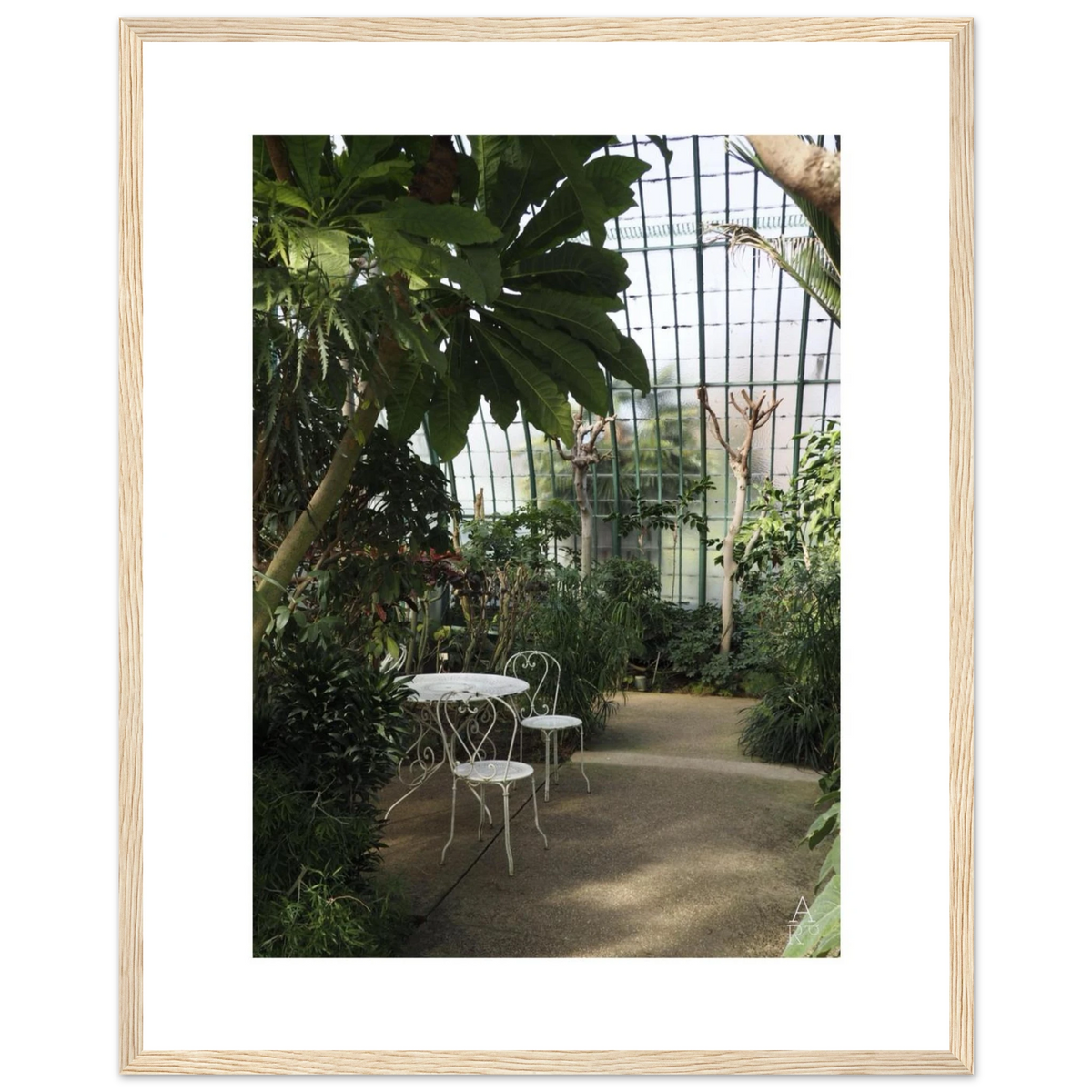 Serre parisienne N°1, photographie végétale encadrée – visuel 10, Aude de Riberolles