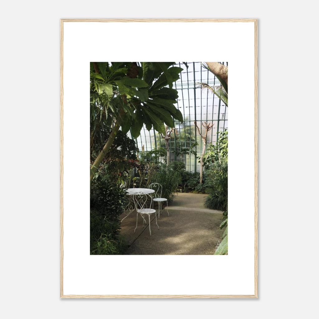 Serre parisienne N°1, photographie végétale encadrée – visuel 11, Aude de Riberolles