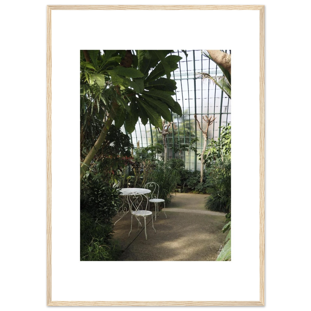 Serre parisienne N°1, photographie végétale encadrée – visuel 2, Aude de Riberolles