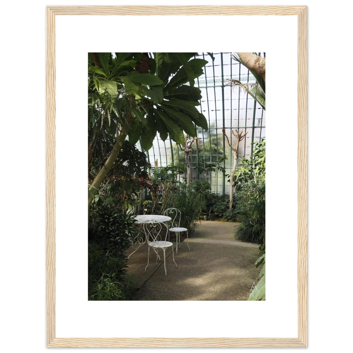 Serre parisienne N°1, photographie végétale encadrée – visuel 5, Aude de Riberolles