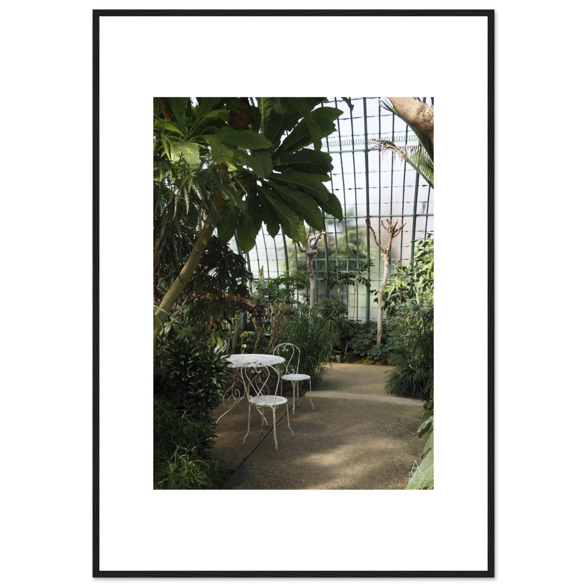 Serre parisienne N°1, photographie végétale encadrée – visuel 6, Aude de Riberolles