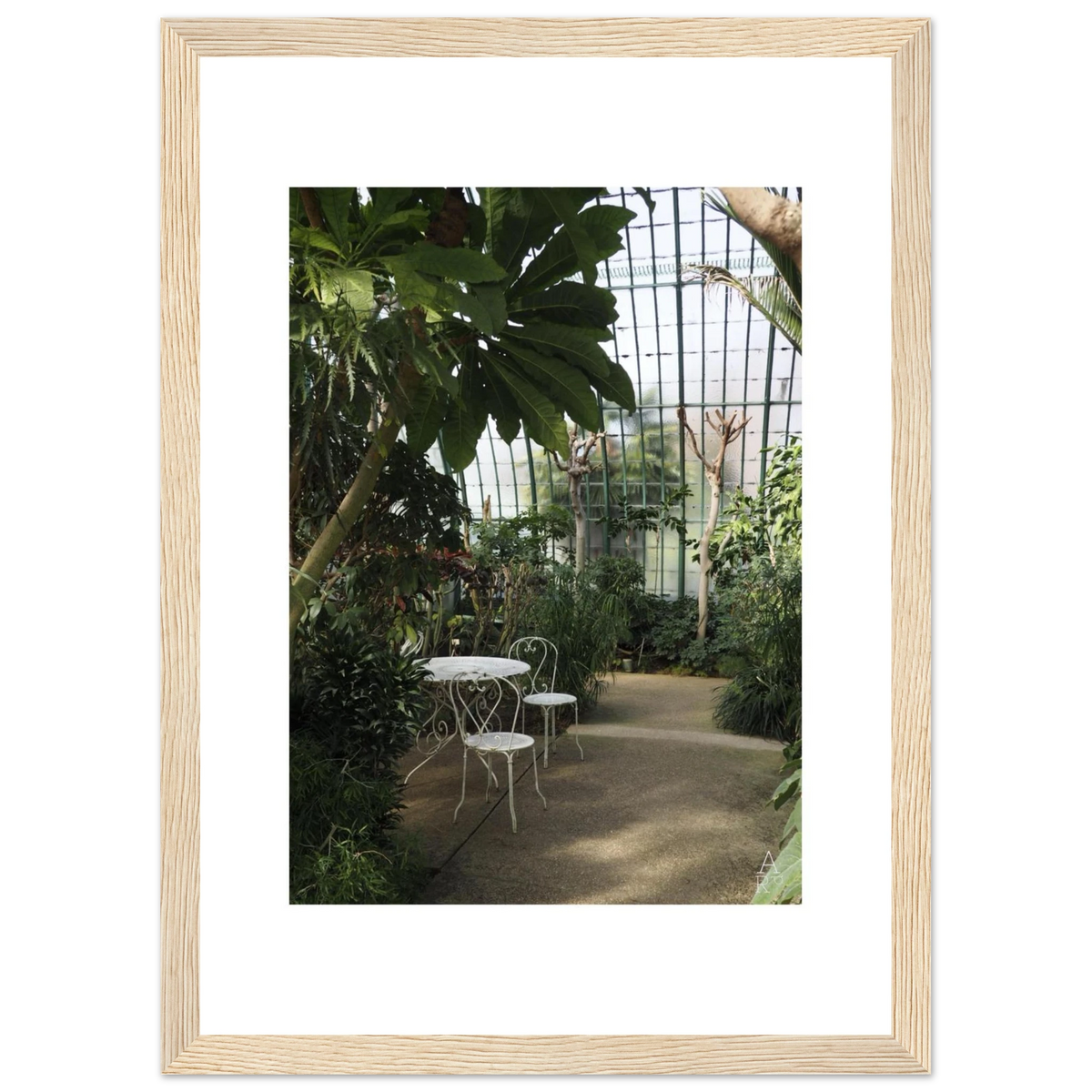 Serre parisienne N°1, photographie végétale encadrée – visuel 7, Aude de Riberolles