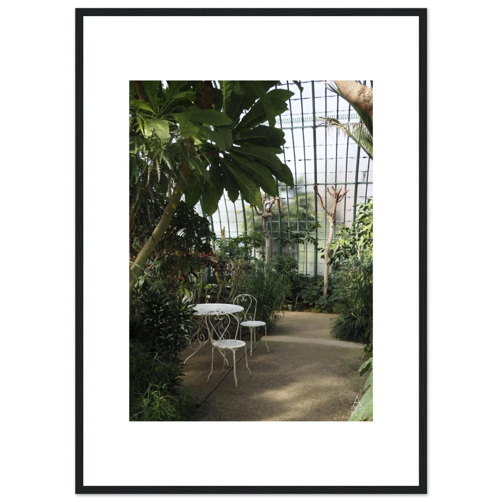Serre parisienne N°1, photographie végétale encadrée – visuel 9, Aude de Riberolles